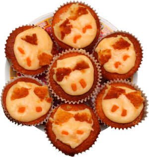 apricot cat-cakes