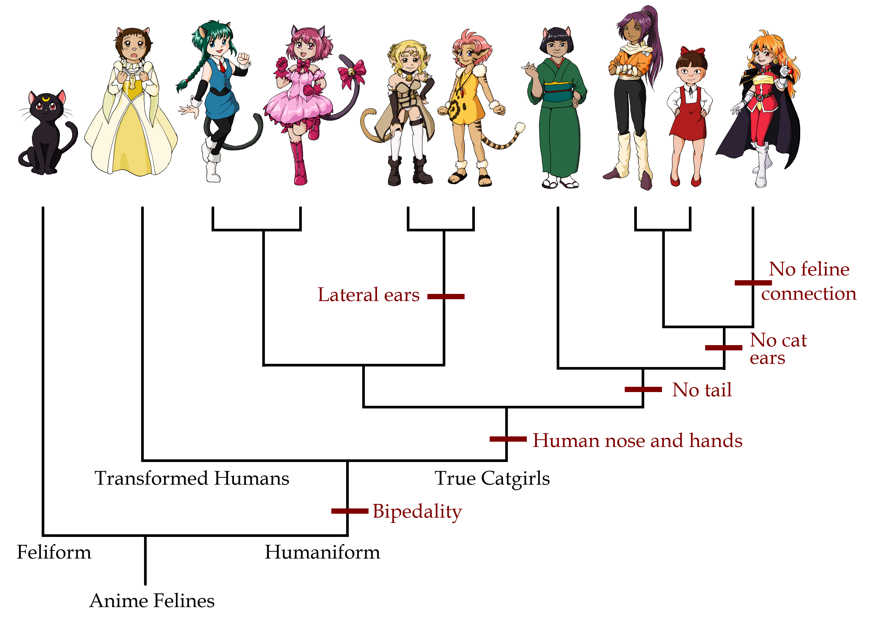 phylogenetic tree