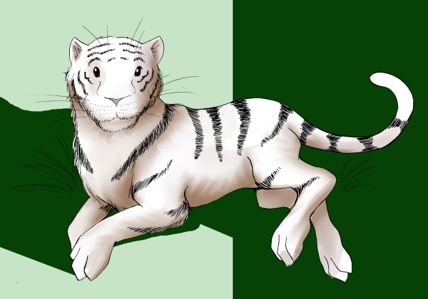 The tigress