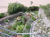 Garden above the beach in Tenby 