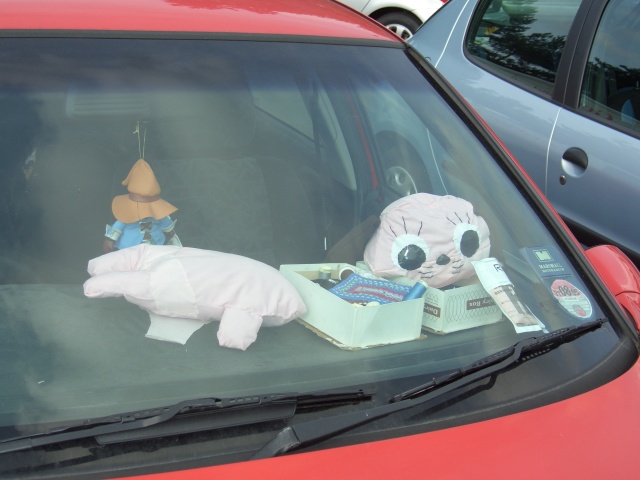 beheaded-maromi-in-car.jpg 