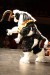 Thumbnail IMG_4924.JPG 